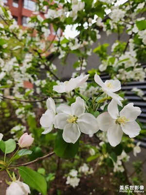 【我的五一】+賞春景