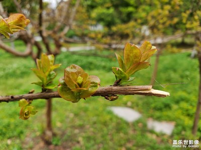 【至生活】成長