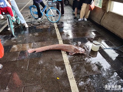 【我的五一】+2億像素初試3