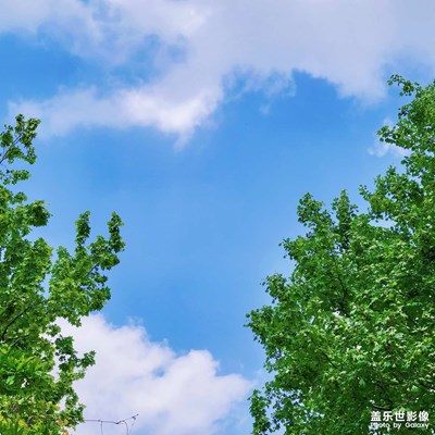 【至生活】日常碎片