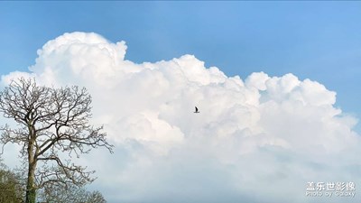 好的環(huán)境可以感受非常舒適