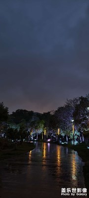 燈光一開，氣氛就來了