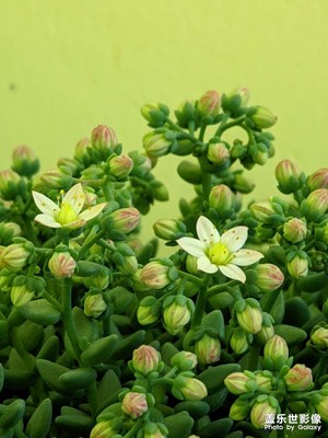  ?一家人的快樂時(shí)光 ?