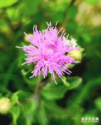 五一快樂！