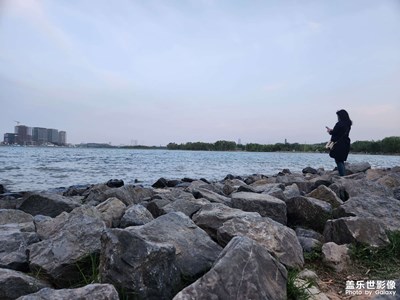 【我的五一】+鄭州森林公園