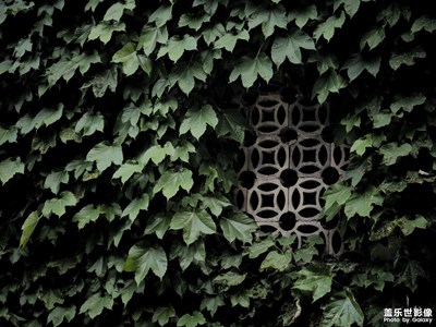 【我的五一】青龍山之行