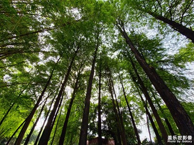 【我的五一】+曉港公園游