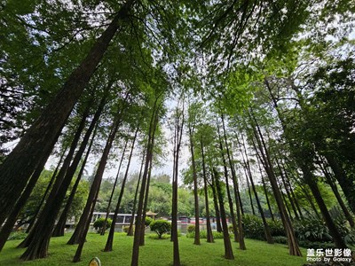 【我的五一】+曉港公園風(fēng)景篇3