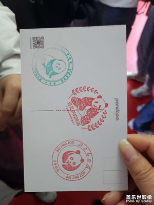 【五一隨拍】動物比人悠閑