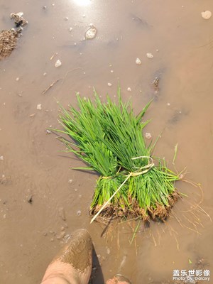 【我的五一】勞動(dòng)過后再享樂