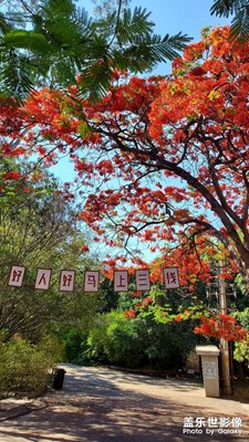 火紅年華拍攝地