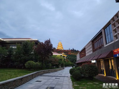 【五一隨拍】+閑逛閑逛