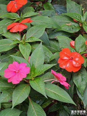 工程師色盲嗎？