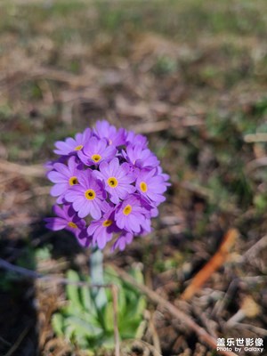 春天的信號(hào)