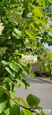 春色滿園關(guān)不住