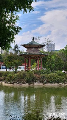 【五一隨拍】身邊風(fēng)景