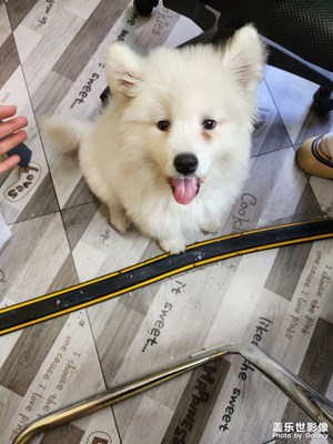 【五一隨拍】生活小記