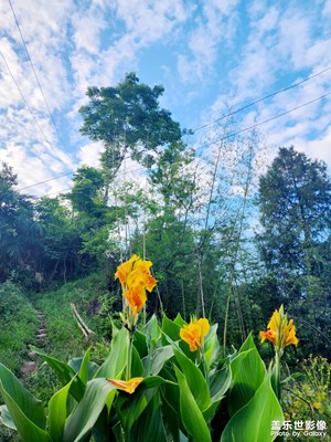 世事千帆過(guò)，前方終會(huì)是溫柔和月光