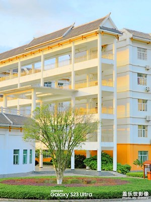 星星跌碎成日光