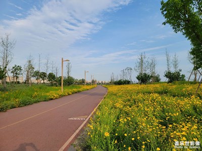 2023，蓉城初夏……