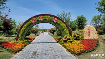 玫瑰之園