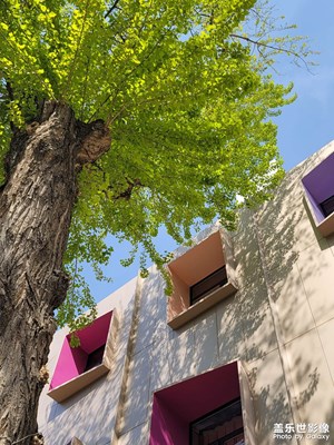 啊 原來(lái)在這里