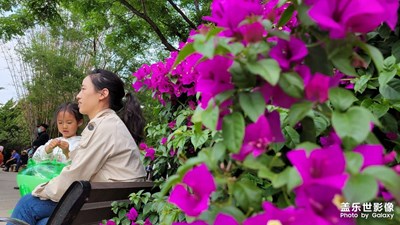 【拍有生活】+身邊的風(fēng)景