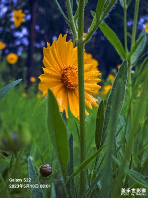 【拍有生活】+公園隨拍