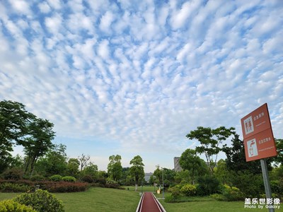 【拍有生活】+下班路上的風(fēng)景