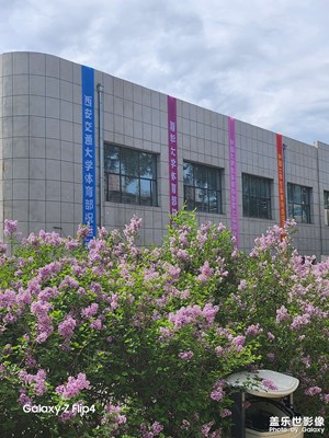 【拍有生活】+ 運動會