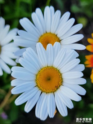 【拍有生活】放松