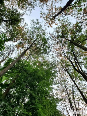 【拍有生活】+ 出游暢玩