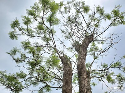 【拍有生活】+生活光景