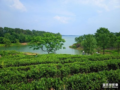 我只看向他眼底 而千萬人歡呼什么我不在意