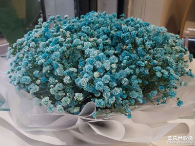 【拍有生活】鮮花與美食