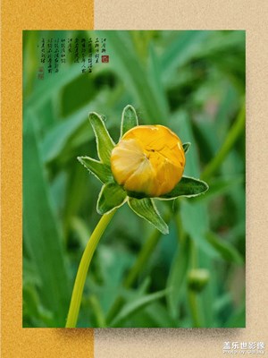 來一次說走就走的旅行