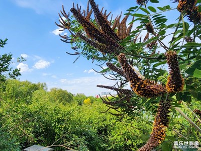 【陽光燦爛的日子】+ 公園隨拍