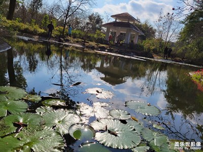 【陽光燦爛的日子】兜風(fēng)