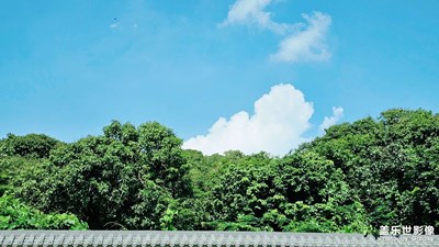 【陽光燦爛的日子】+ 周末隨拍

