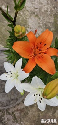 【用鏡頭講述】+?光影記事