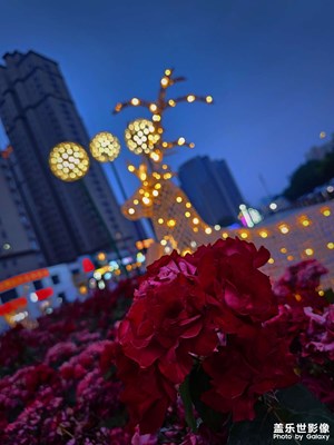 【用鏡頭講述】燈光的故事