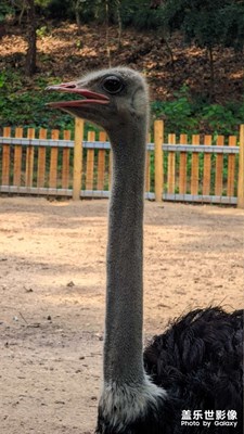 在風(fēng)中相遇，在光中起舞。