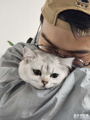 【用鏡頭講述】+ 帶小貓咪??去工位