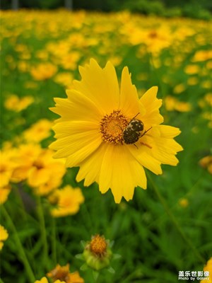 【用鏡頭講述】+?公園綠景