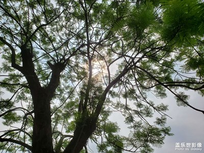 【用鏡頭講述】+美麗景色