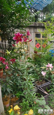 晚安，又是一天