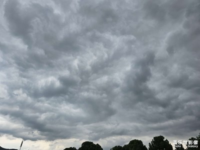 【泛著光的生活】生，活著