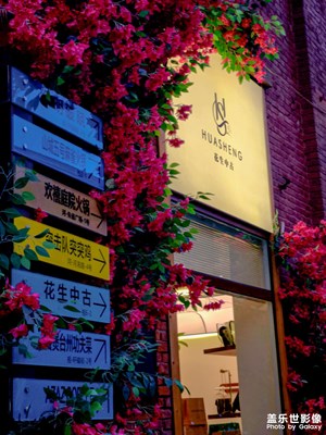 【泛著光的生活】+鏡頭下的光