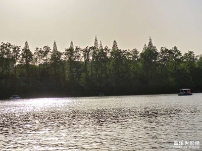 【泛著光的生活】+生活中的光景