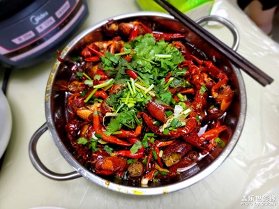 【鏡頭里的夏天】美好生活記錄